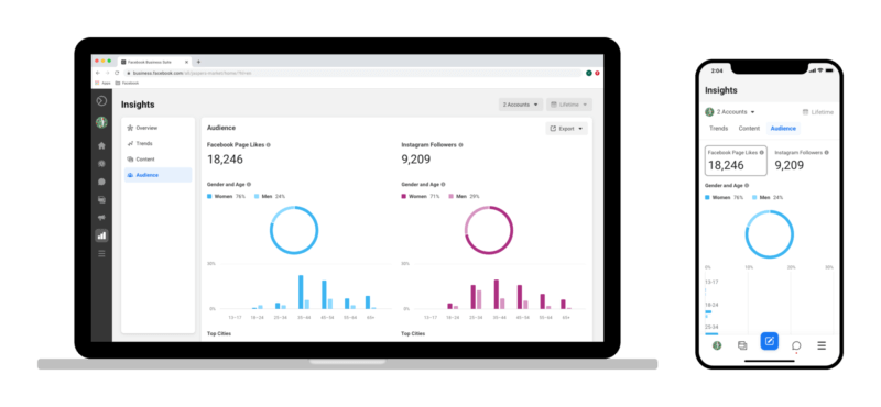 Facebook Business Suite Insights