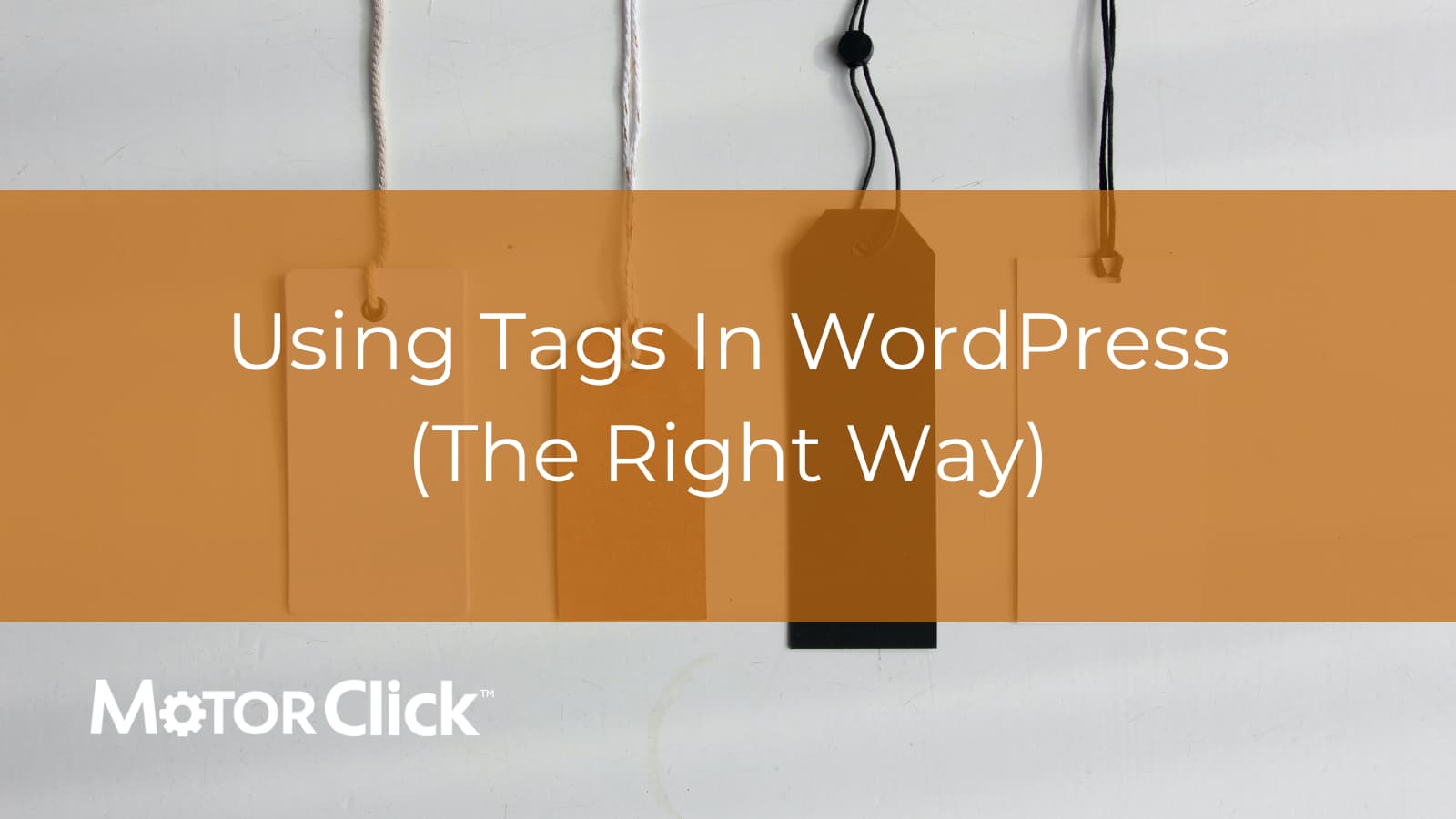 Using Tags In WordPress (The Right Way) • MotorClick
