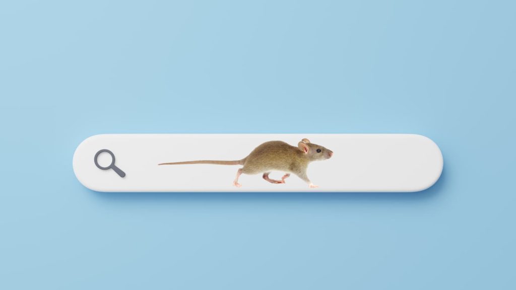 Rat with long tail walking inside an online search bar