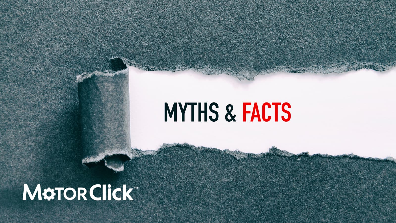 seo myths